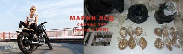 индика Белокуриха