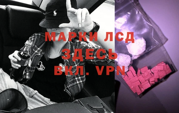 индика Белокуриха