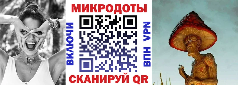 Галлюциногенные грибы Psilocybe  Малоярославец 